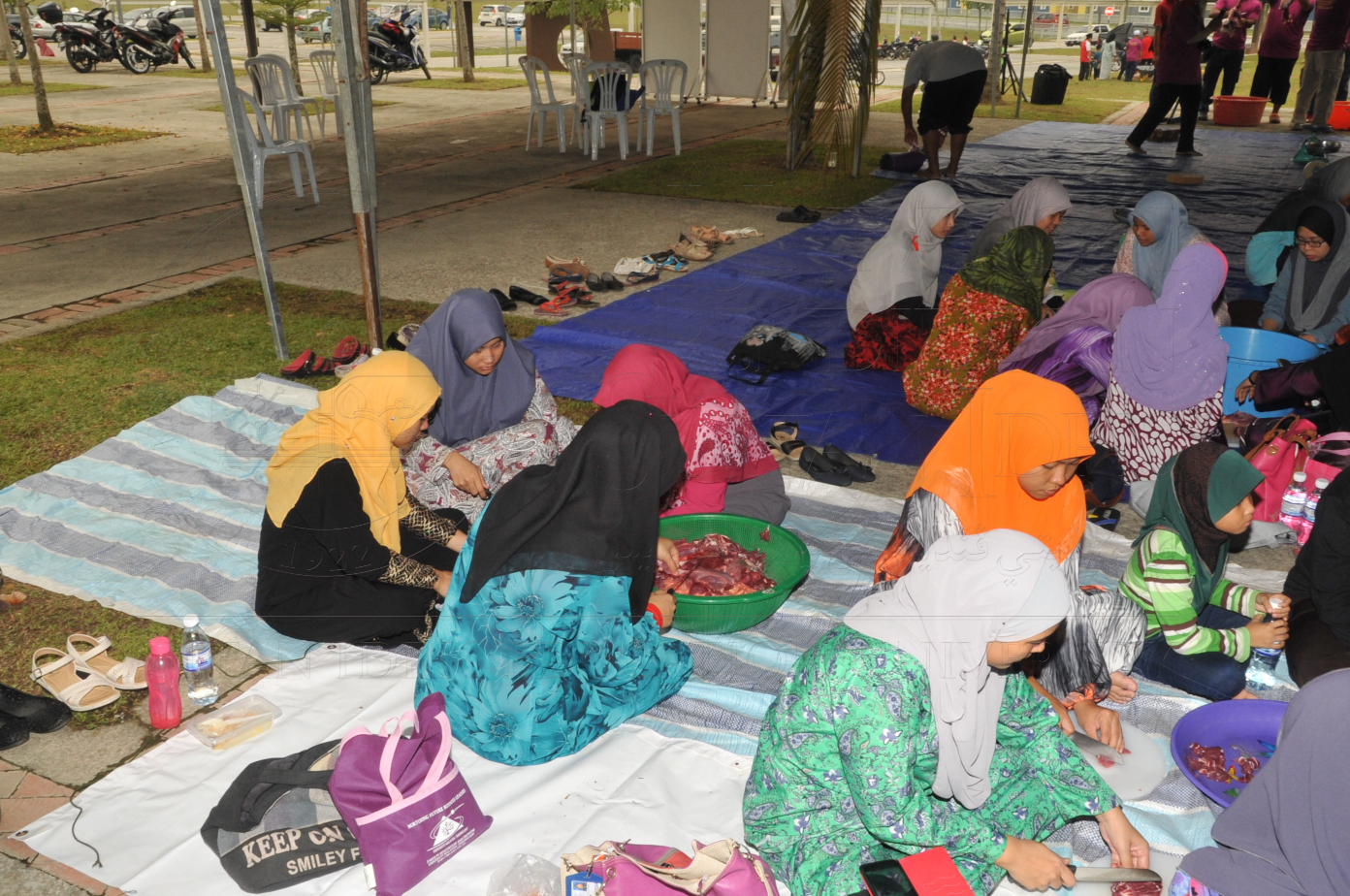 PRO15 150 KORBAN HAS 6891